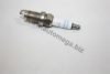 AUTOMEGA 109050601101F Spark Plug